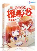 学霸撩妻入怀txt