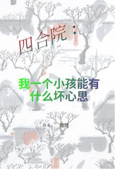 四合院一大爷养子