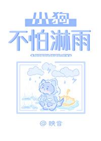 小狗不怕淋雨全文